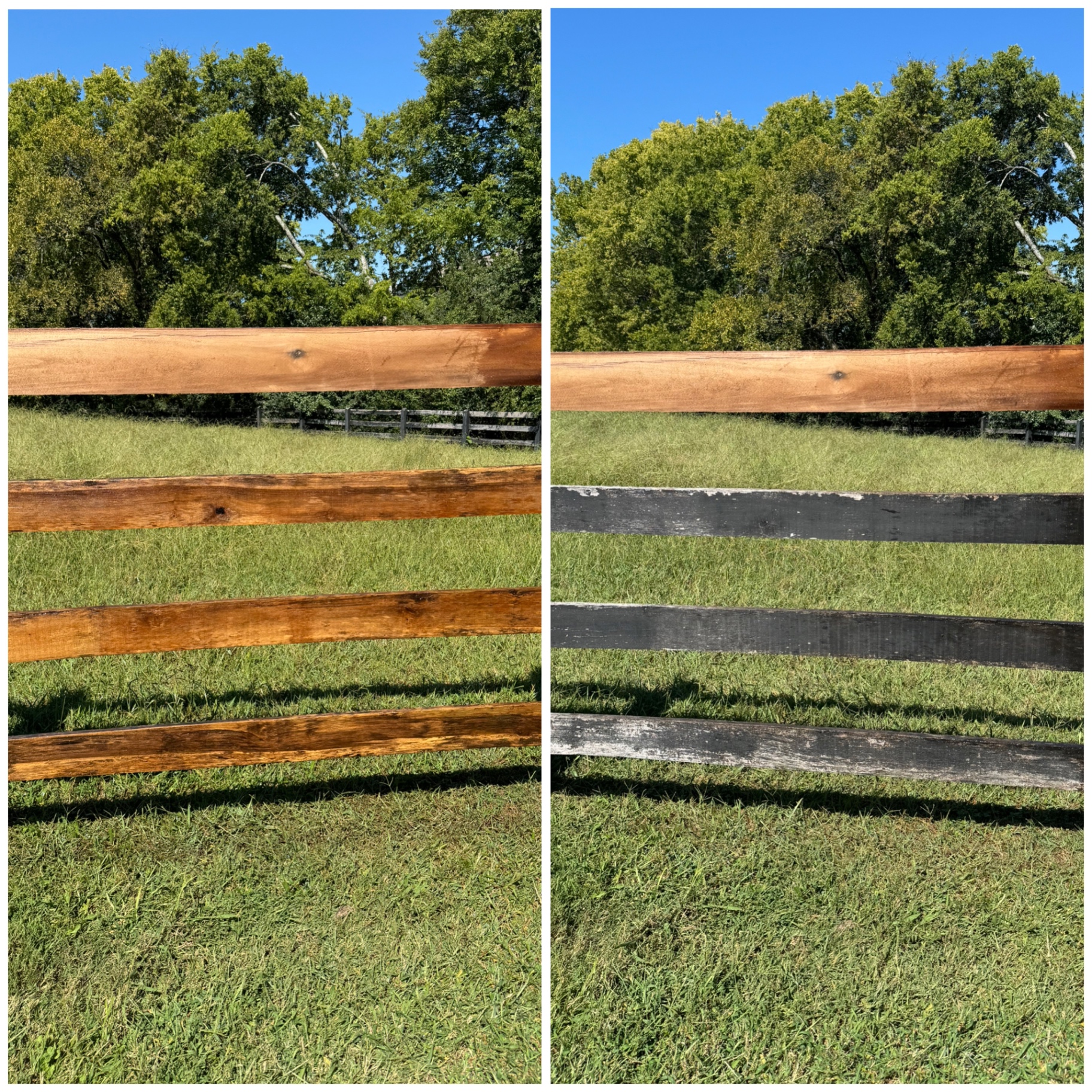 Decks & Fences